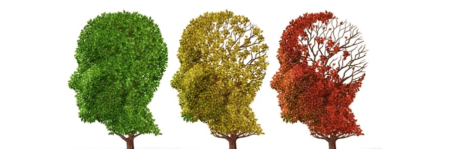 graphic of trees in shape of human head with different colored leaves